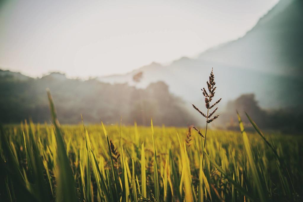 Mai Chau Villas Exteriör bild