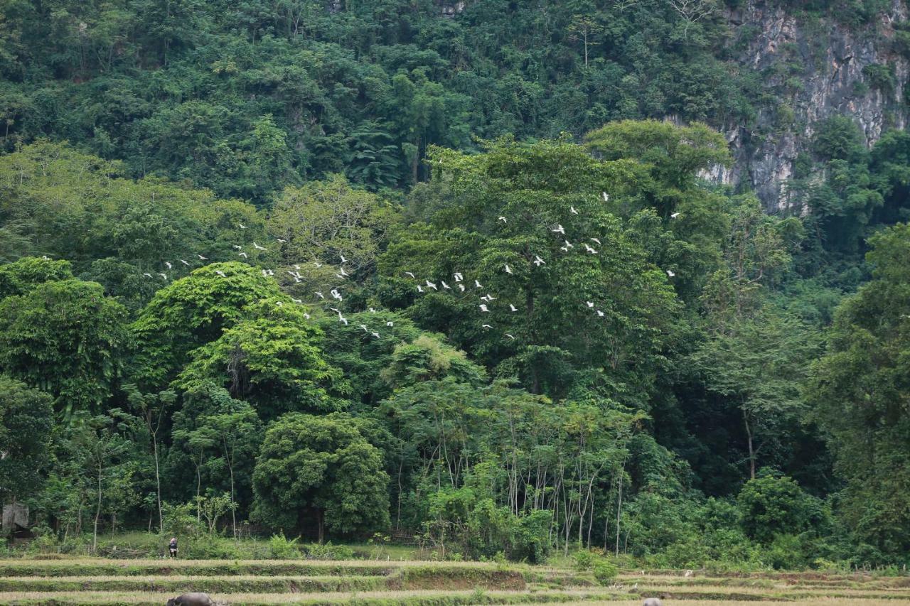 Mai Chau Villas Exteriör bild